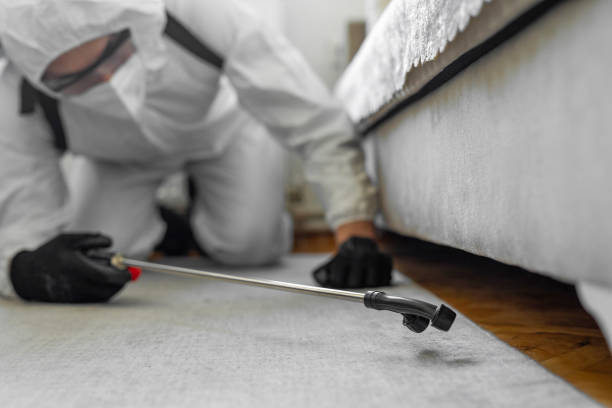 Professional Cockroach Control technician working in McGovern, PA
