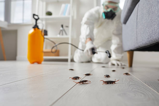 Affordable Cockroach Control solutions in McGovern, PA
